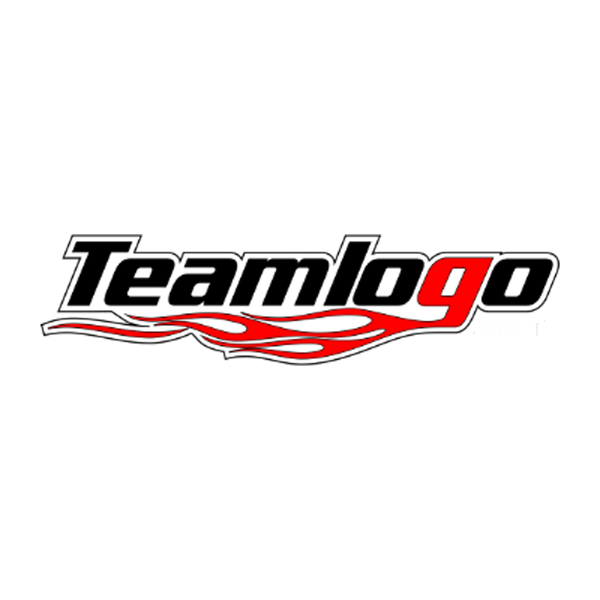 Teamlogo logo